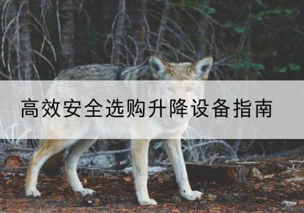 宁河区升降货梯厂家推荐-*安全选购升降设备指南