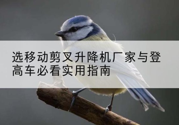 宁河区电动升降机厂家-选移动剪叉升降机厂家与登高车必看实用指南