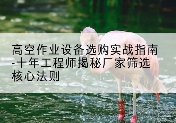 宁河区剪叉式升降机厂家-高空作业设备选购实战指南-十年工程师揭秘厂家筛选核心法则
