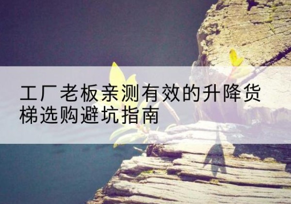 宁河区升降货梯怎么选-工厂老板亲测有效的升降货梯选购避坑指南
